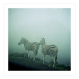 Silence of breath - 14 (Print Only) thumbnail