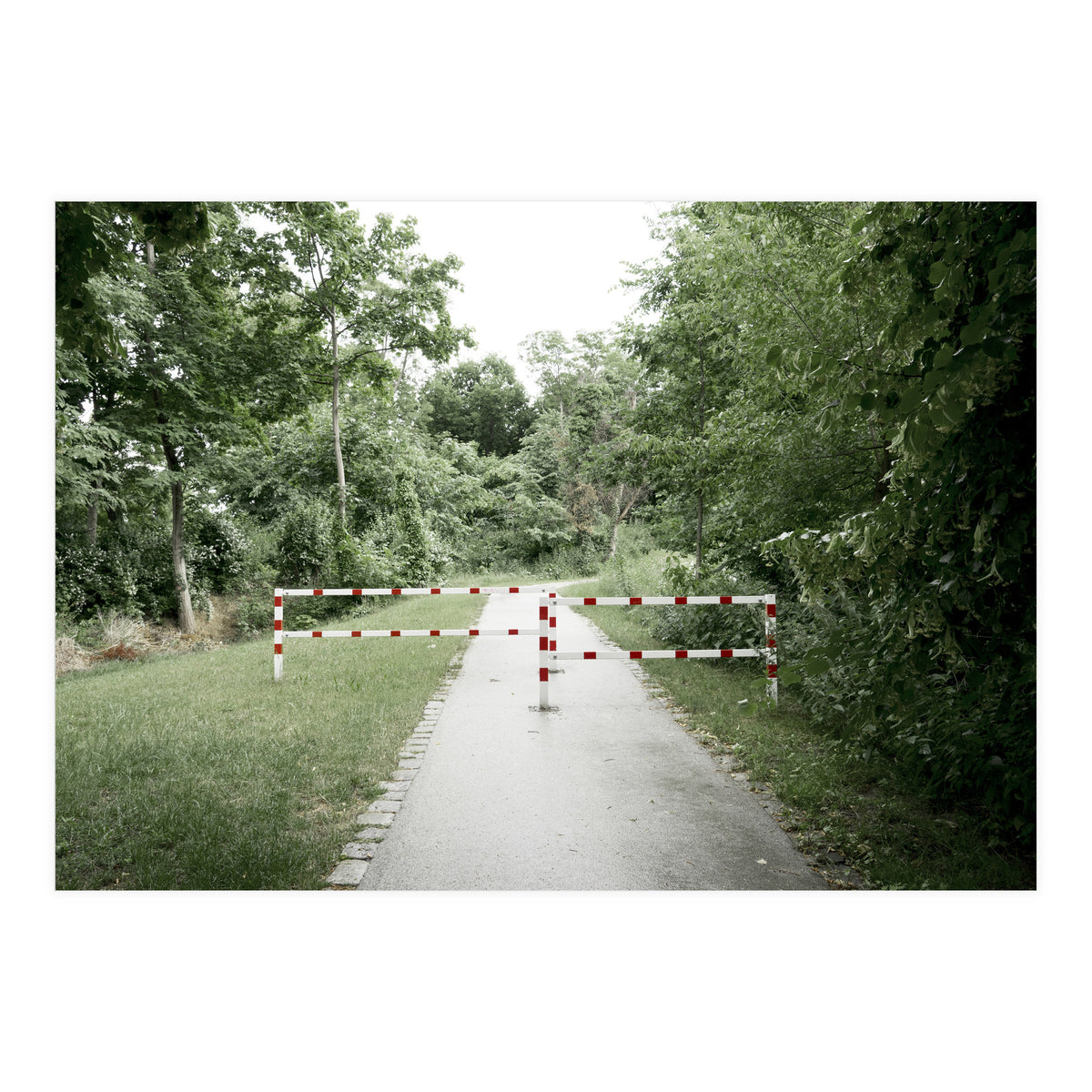 Entrance to the green park (Print Only)