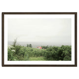Red Roof house in between the summer green field - Iceland thumbnail