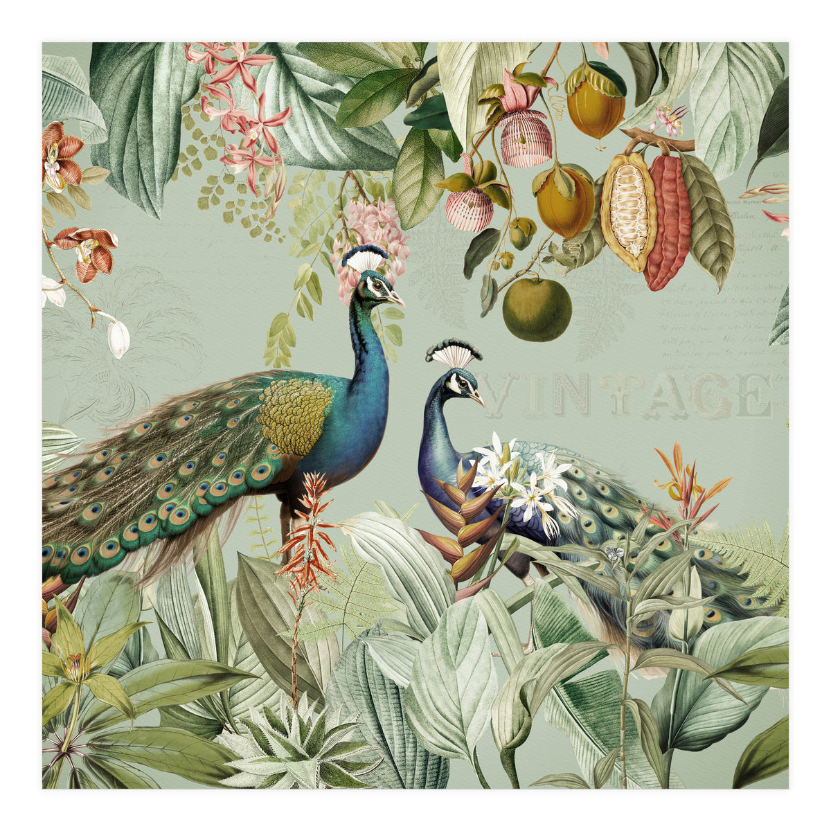 Vintage Exotic Asian Peacocks In Tropical Jungle Landscape (Print Only)