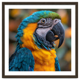 Blue And Yellow Macaw Parrot Close Up Portrait thumbnail