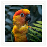 Close Up Of A Colorful Sun Conure Parrot thumbnail