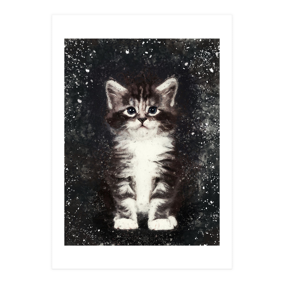 Bicolor Cute Kitten Portrait (Print Only)