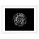Backyard Flowers In Black And White No 72 with Border thumbnail