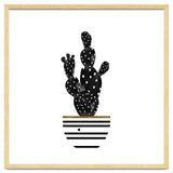 Black Cactus thumbnail