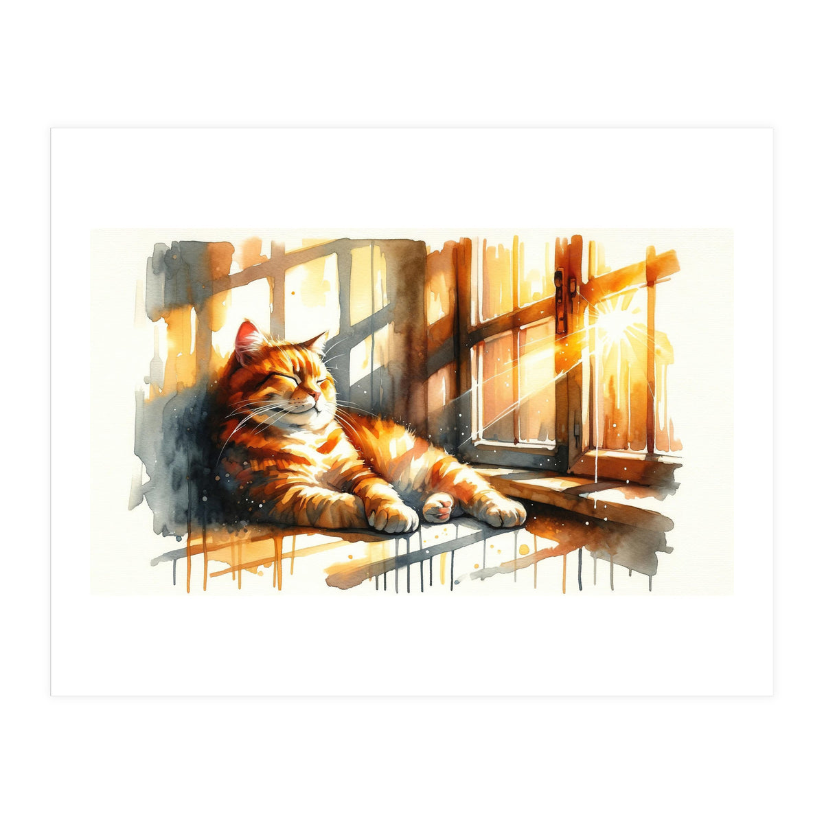 Cat Relaxing In Sunlight (Print Only)