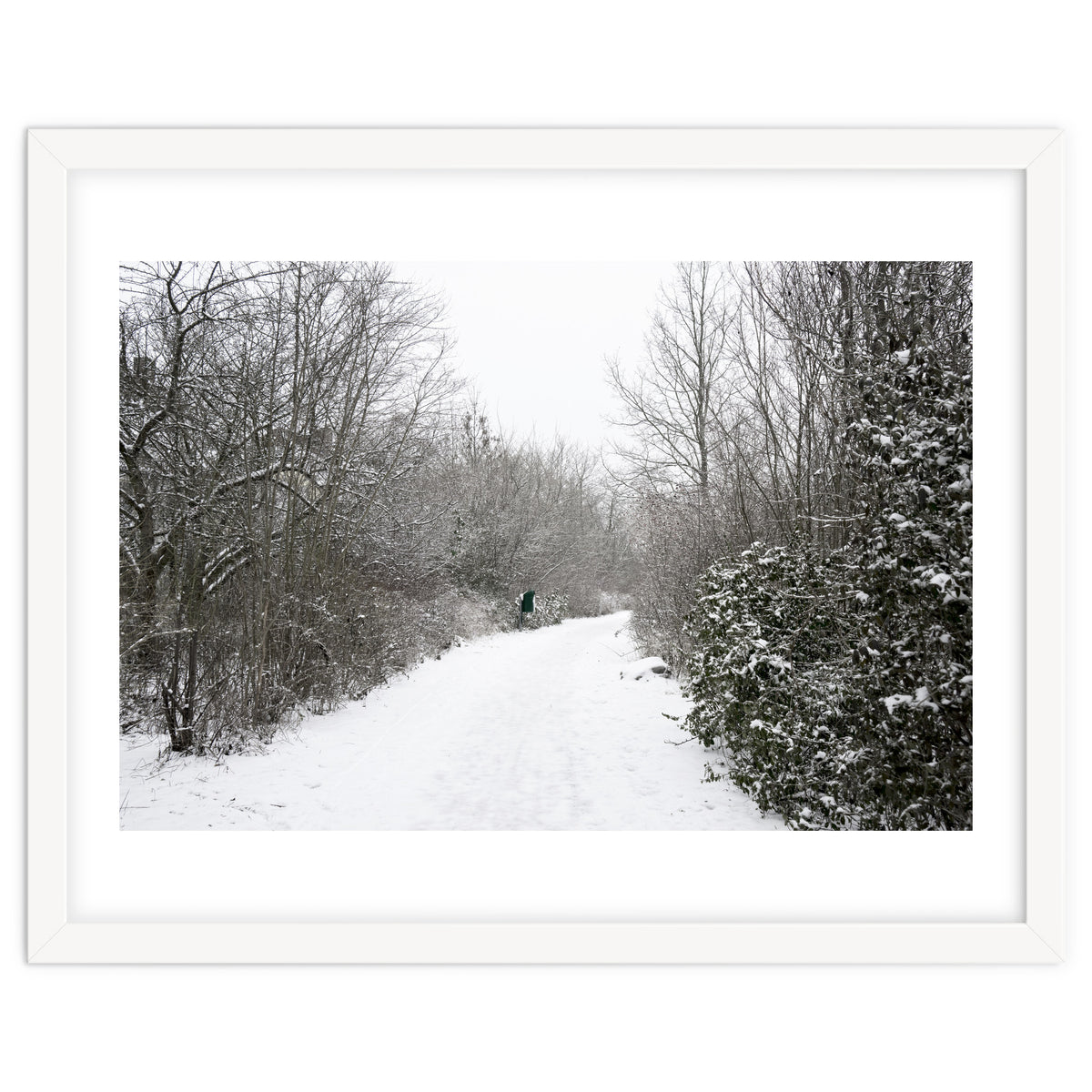 Walking through the snow park