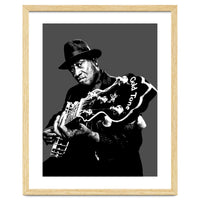 Taj Mahal American Blues Musician Legend