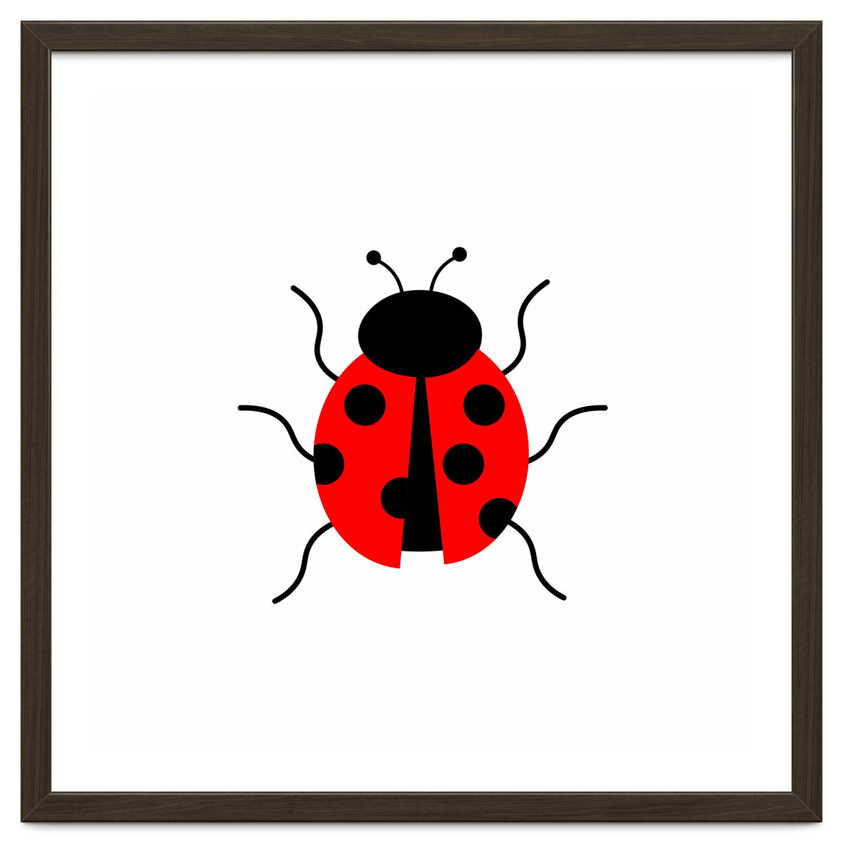 Lady Bug