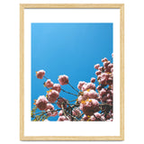 Pink Summer thumbnail