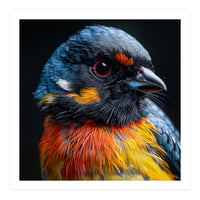 Close Up Of A Colorful Bird In The Wild (Print Only)