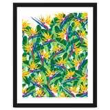 Summer Strelitzia thumbnail