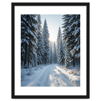 Serene Winter Wonderland Forest Road