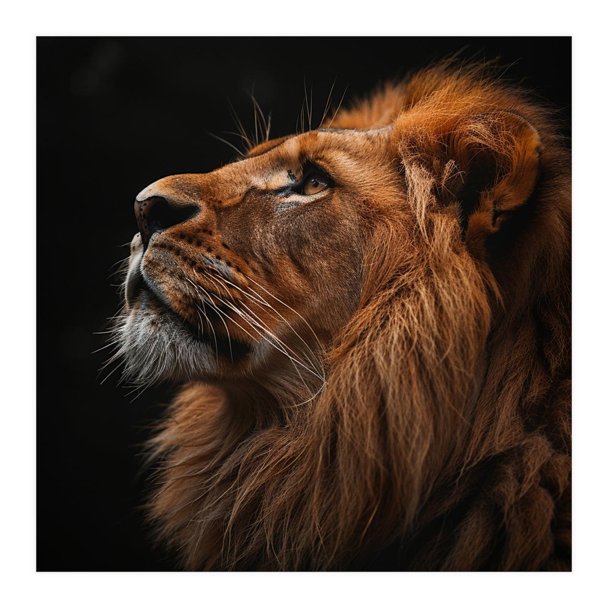 Majestic Lion Portrait Profile Majestic Beast (Print Only)