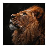 Majestic Lion Portrait Profile Majestic Beast (Print Only)