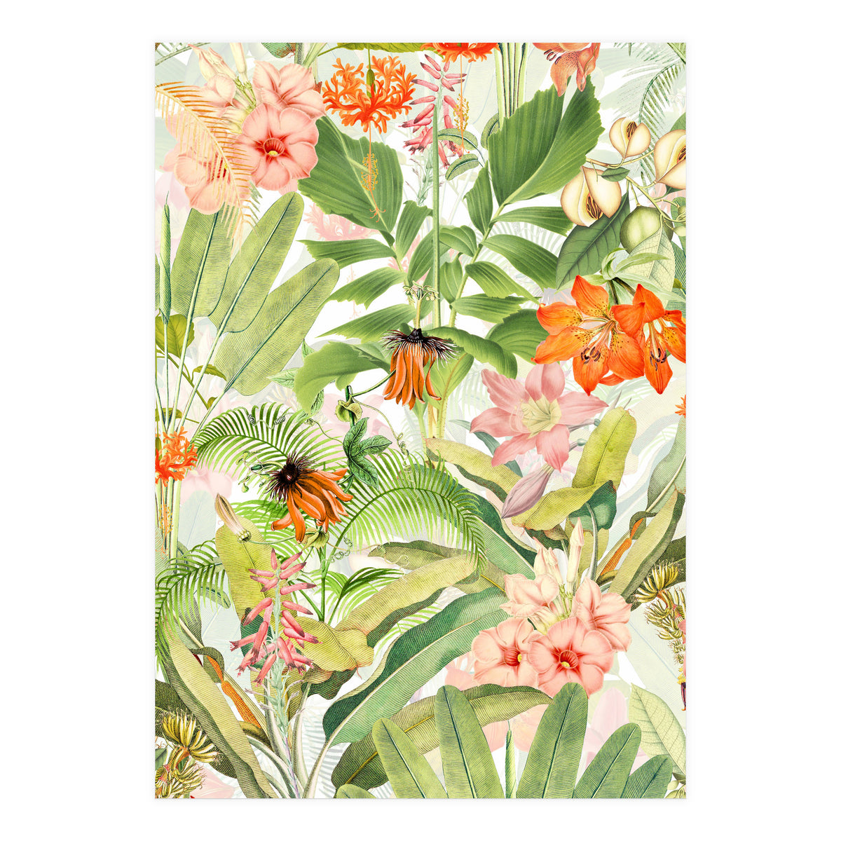 Luxurious Botanical Flower Jungle (Print Only)