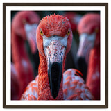 Close Up Of A Flamingo Bird Face, Pink Feathers thumbnail