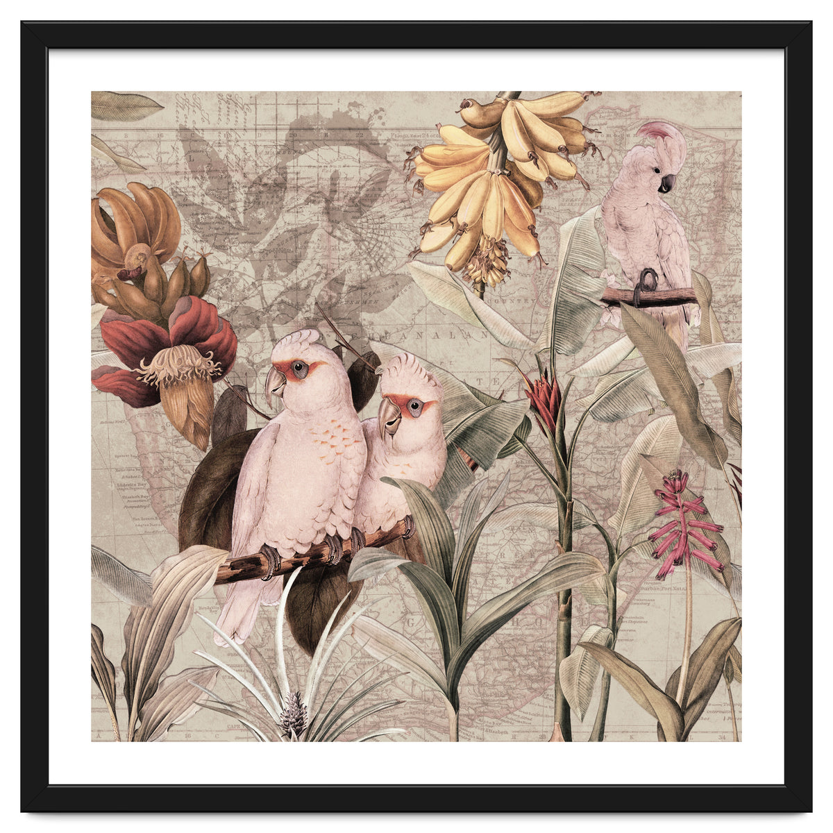 Cockatoo Exotic Bird Jungle