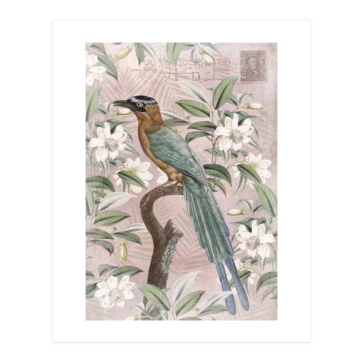 Exotic Bird (Print Only)