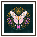 Butterfly And Sun thumbnail