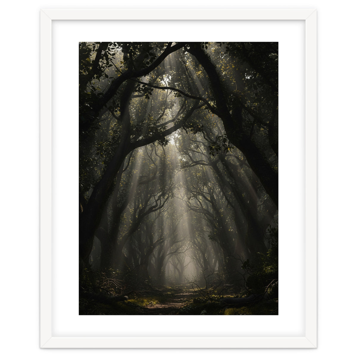 Enchanted Canopy: Mystical Forest Path