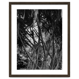 Black Tectorius Plant Art thumbnail