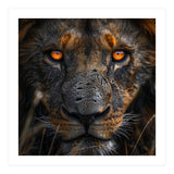 Majestic Lion Face Intense Orange Eyes Close Up (Print Only) thumbnail