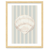 Sea shell thumbnail