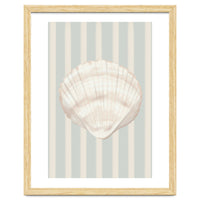 Sea shell