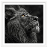 Majestic Lion Face Closeup Golden Eyes Black thumbnail