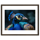 Peacock Head Close Up Majestic Blue Bird thumbnail