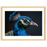 Close Up Peacock Head Blue Green Feather thumbnail