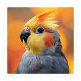 Cockatiel Parrot Close Up  (Print Only) thumbnail