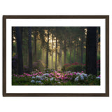 Rhododendron forest thumbnail