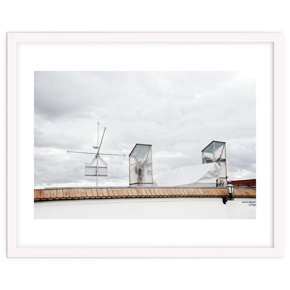 Palm tree waiting for summer