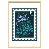 The Cheshire Cuckooflower Postage Stamp
