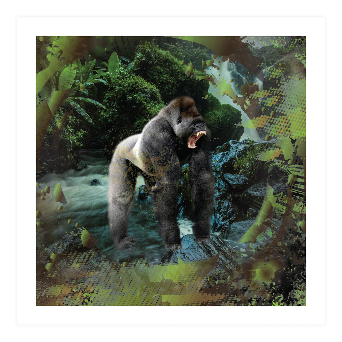 Gorilla  (Print Only)