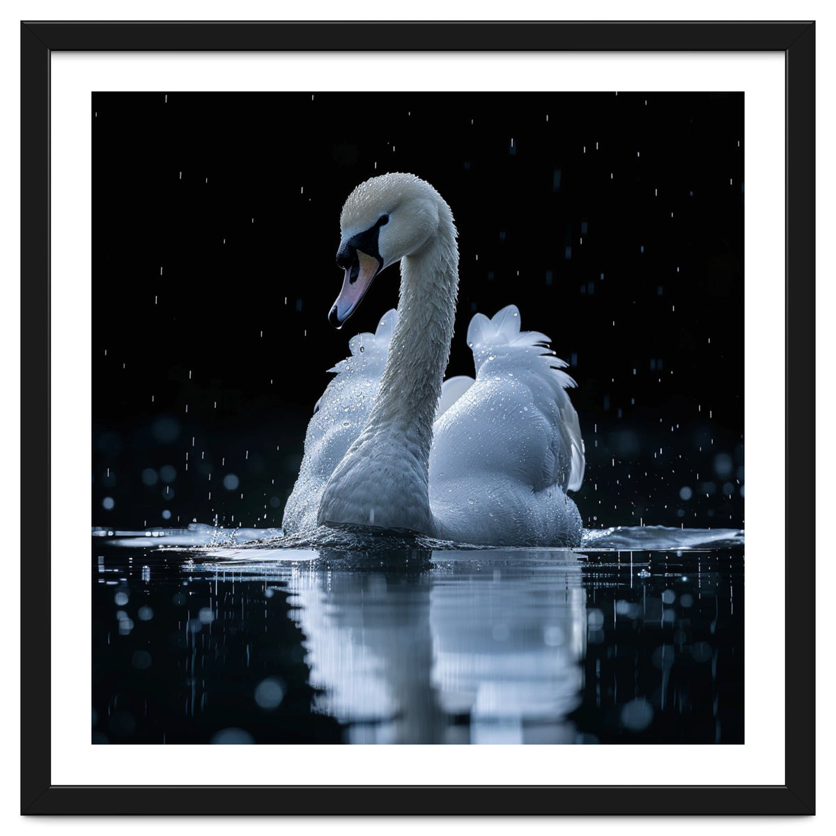Majestic Swan Swimming In Dark Water