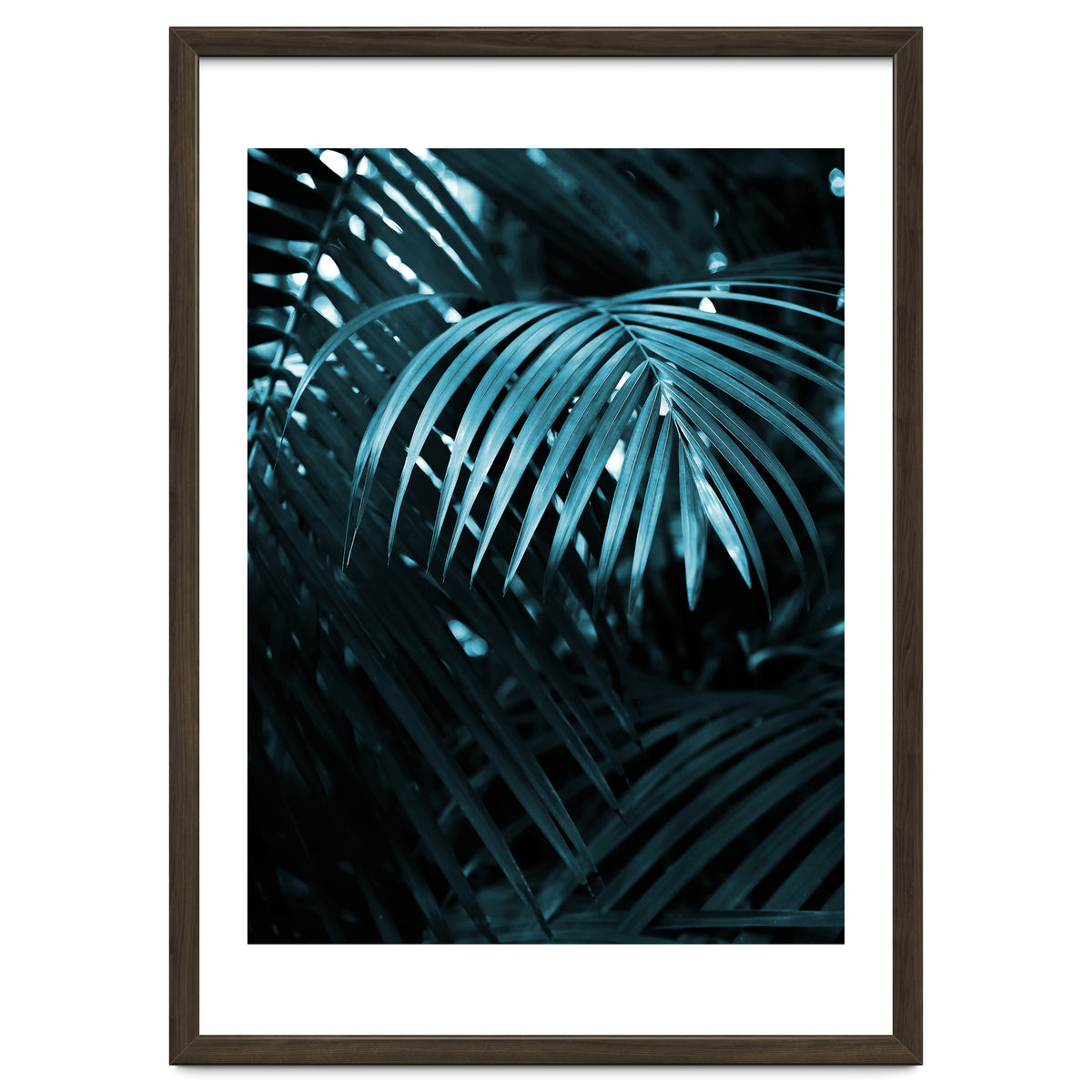 Blue Jungle Palm Ii