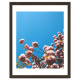 Pink Summer thumbnail