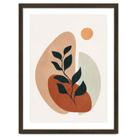 Soft Shapes II