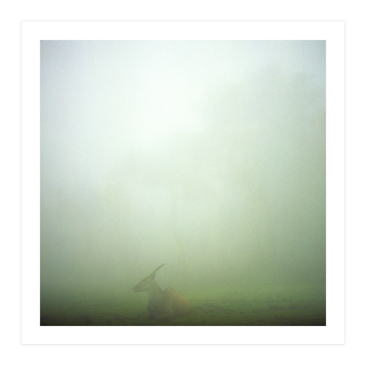 Silence of breath - 06 (Print Only)