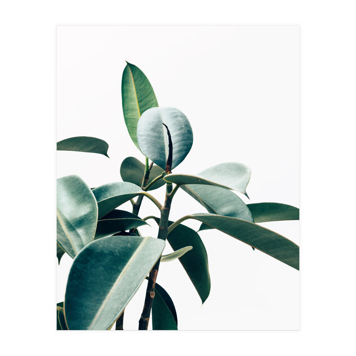 L'amour de ma vie #society6 #decor #buyart (Print Only)