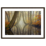 Bent trees in autumn thumbnail