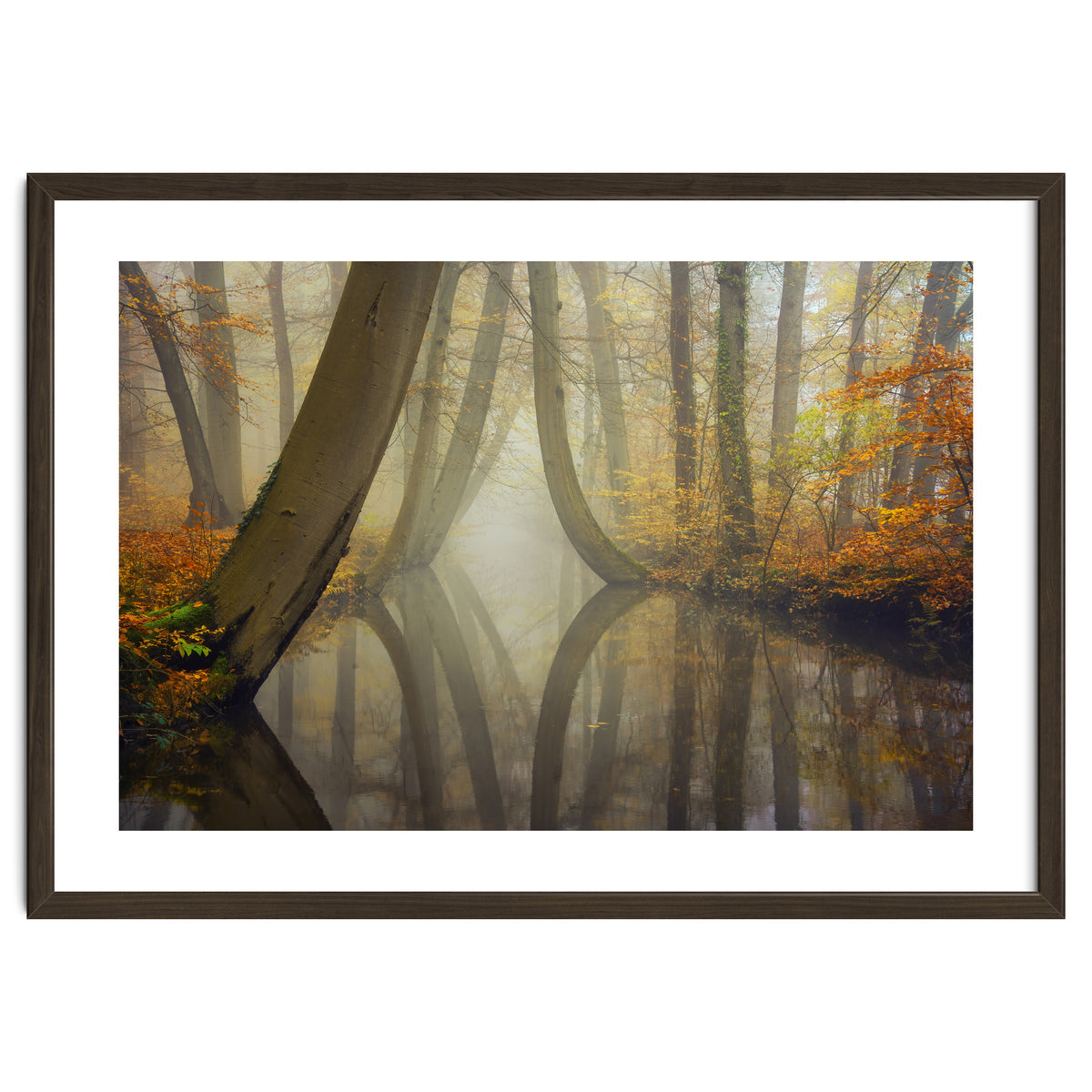 Bent trees in autumn