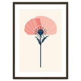 Pink Half Poppy thumbnail