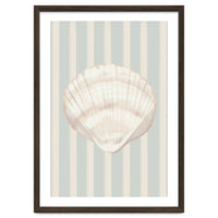 Sea shell
