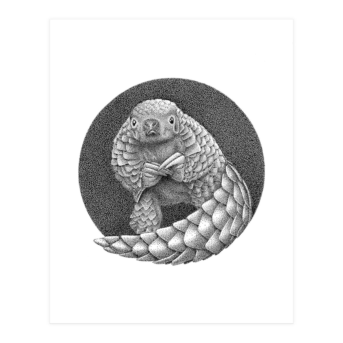 Pangolin no. 1 (Print Only)