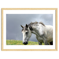 White Horse