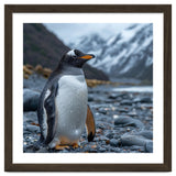 Gentoo Penguin Standing On A Rocky Shore thumbnail